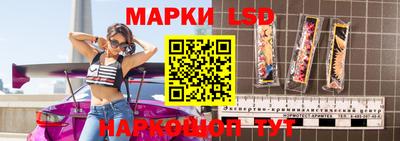 индика Камышлов
