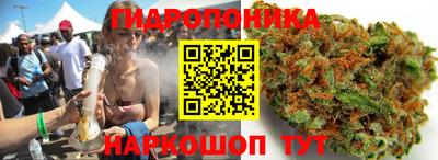 сатива Канаш