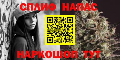 сатива Канаш