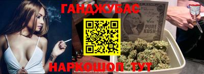индика Камышлов
