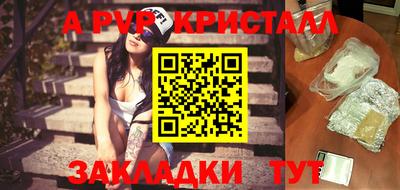 индика Камышлов