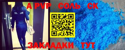 индика Камышлов