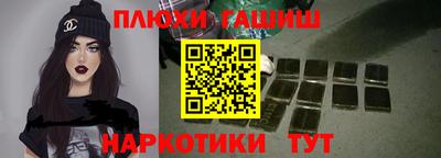 индика Камышлов
